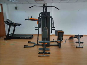 从家庭到单位 全面解析各类健身器材的选择与应用